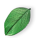 floating_leaf_01 https://qleen.veebilahendus.ee/wp-content/uploads/2025/07/floating_leaf_01.png